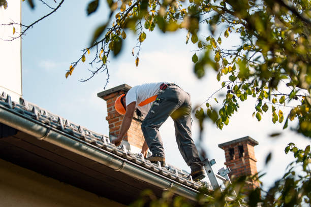 Best Roof Repair Services  in Mount Vernon, IA