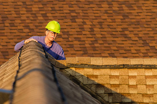 Best Metal Roofing Contractor  in Mount Vernon, IA